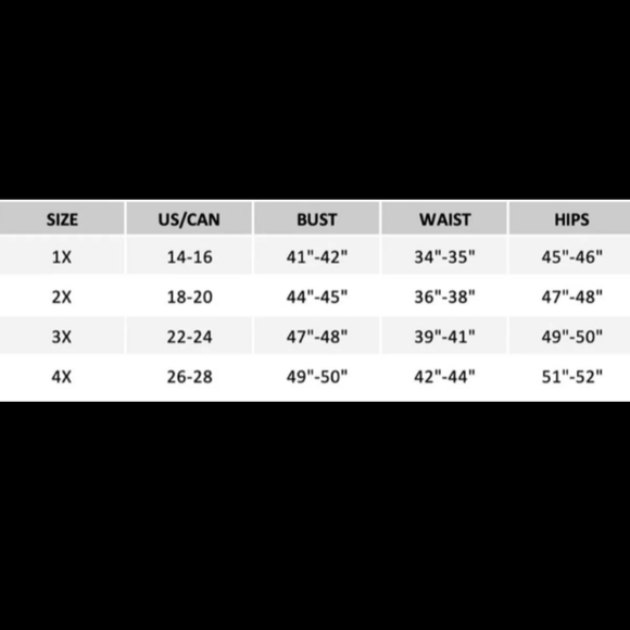 Plus Size 1X Black Mesh Stripped Long Sl - Picture 7 of 7